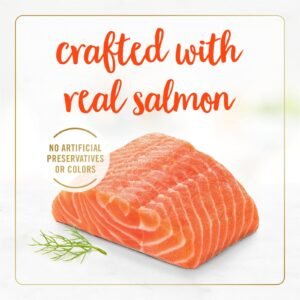 FANCYFST CLAS Salmon 85g AUTRE - Image 4