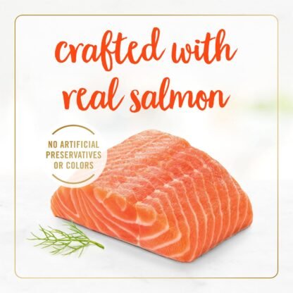 FANCYFST CLAS Salmon 85g AUTRE - Image 4