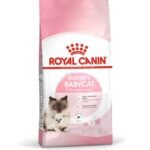 Feline Health Nutrition Mother and Babycat 2KG