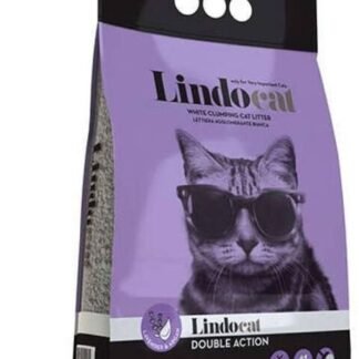 LINDOCAT Super Clean 10L