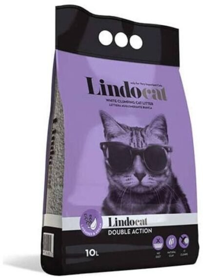 LINDOCAT Super Clean 10L