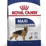 Size Health Nutrition Maxi Adult 10 KG